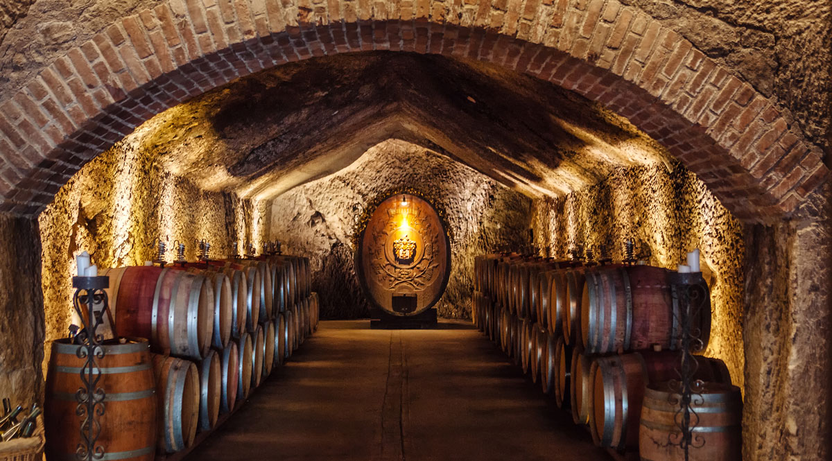 1849 Wine co. (1849 ワイン)