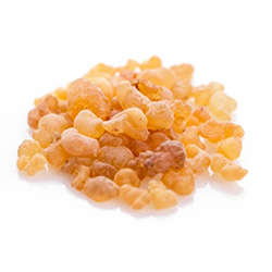 Beauty and the Boutique