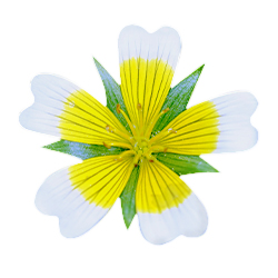 Beauty and the Boutique