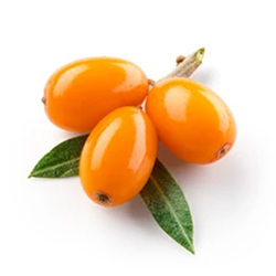 Beauty and the Boutique