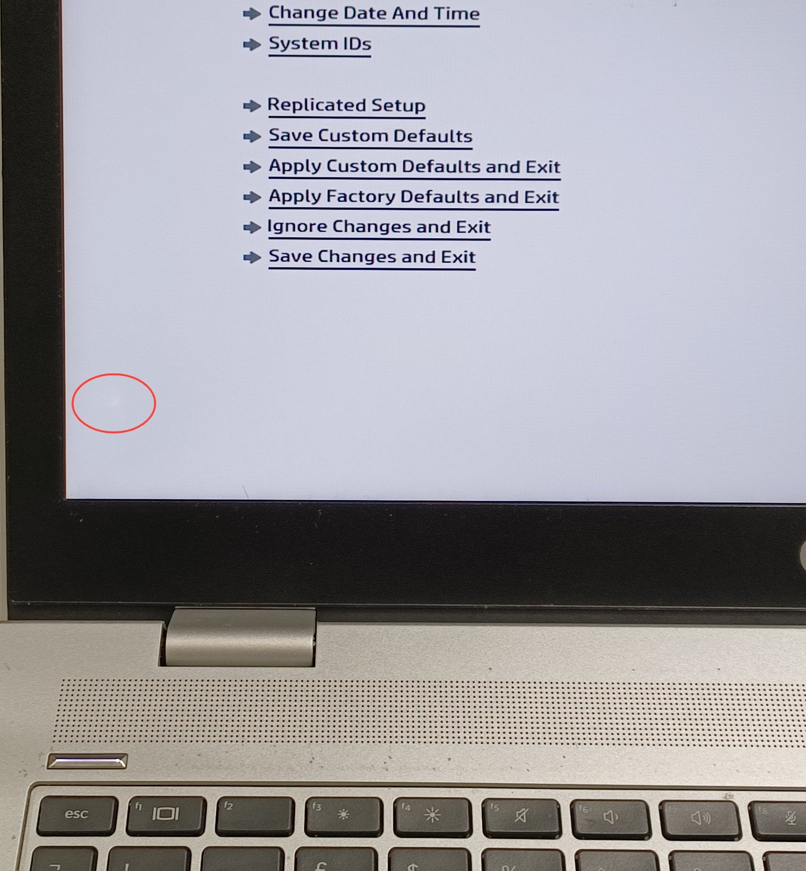 Device #1 - small white spot at bottom left of screen