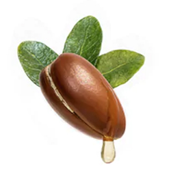 Beauty and the Boutique