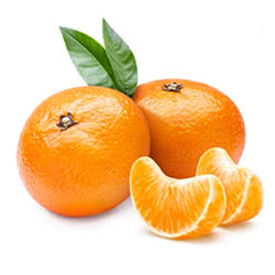 Beauty and the Boutique