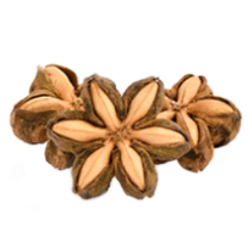 Beauty and the Boutique