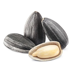 Beauty and the Boutique