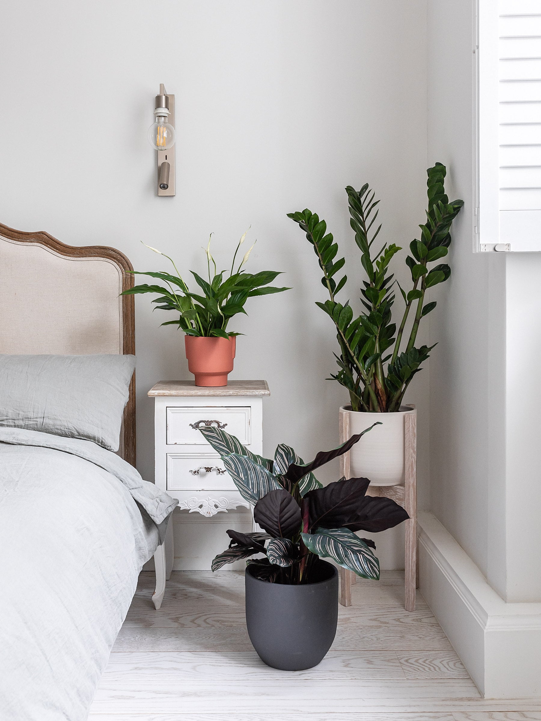 Keeping indoor house plants alive on holiday by Leaf Envy