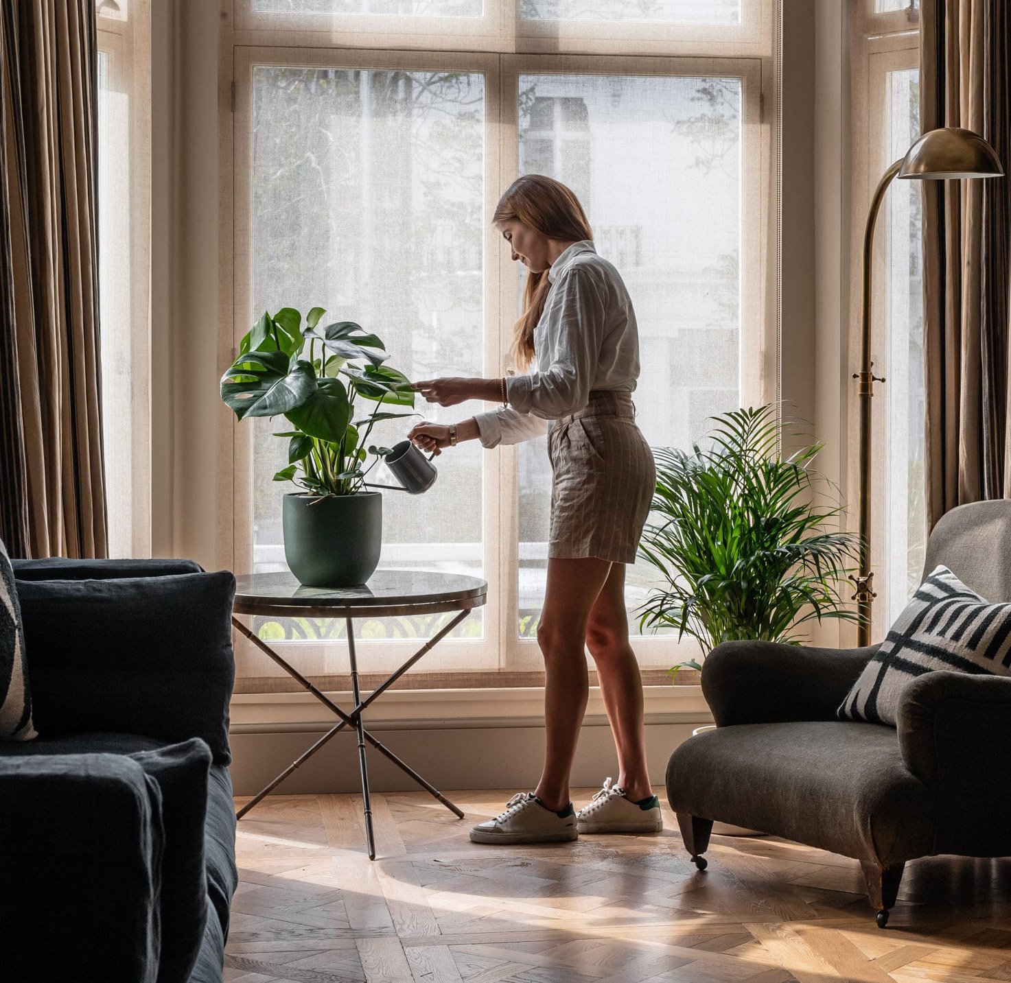 Keeping indoor house plants alive on holiday by Leaf Envy