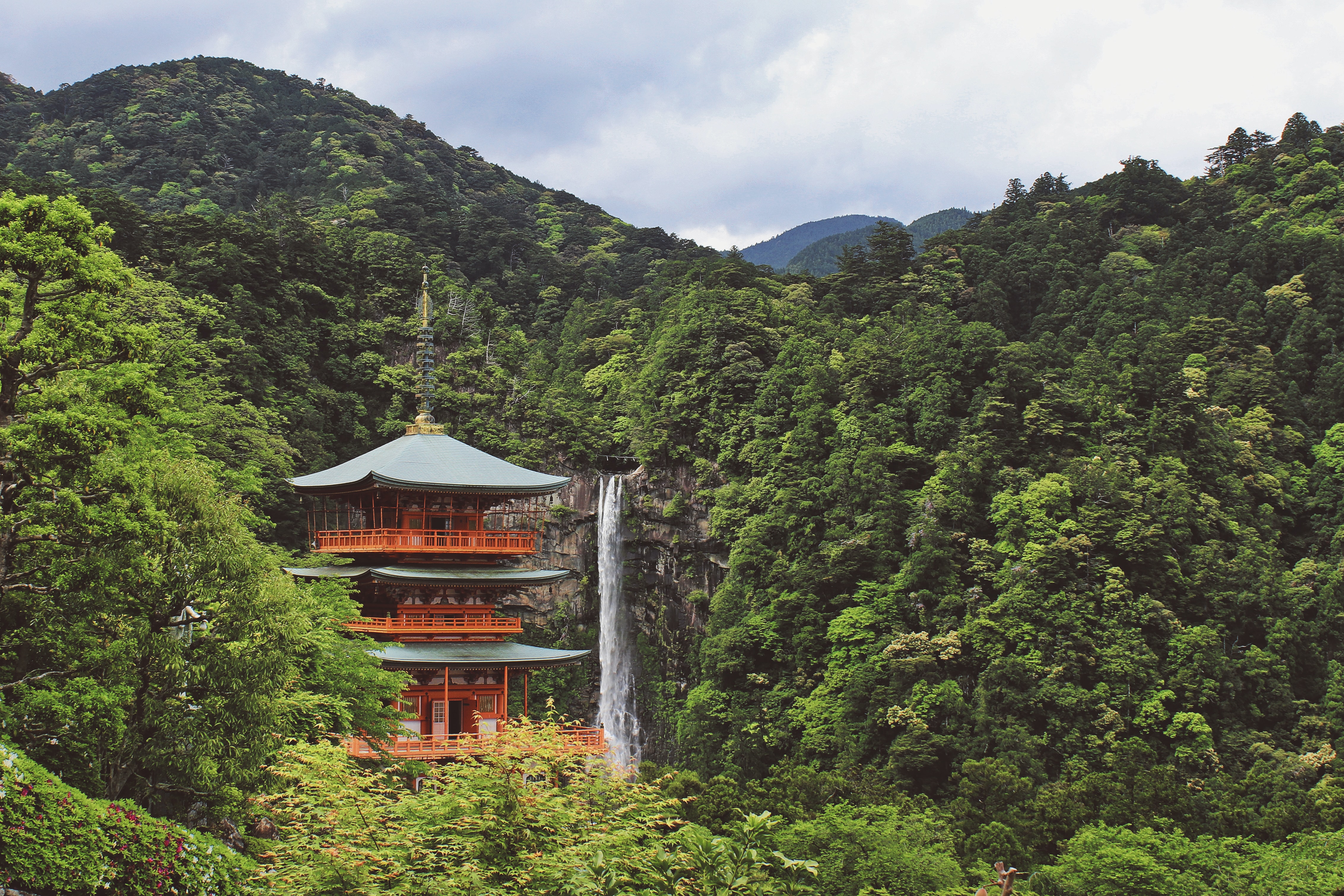 Japan nature trees