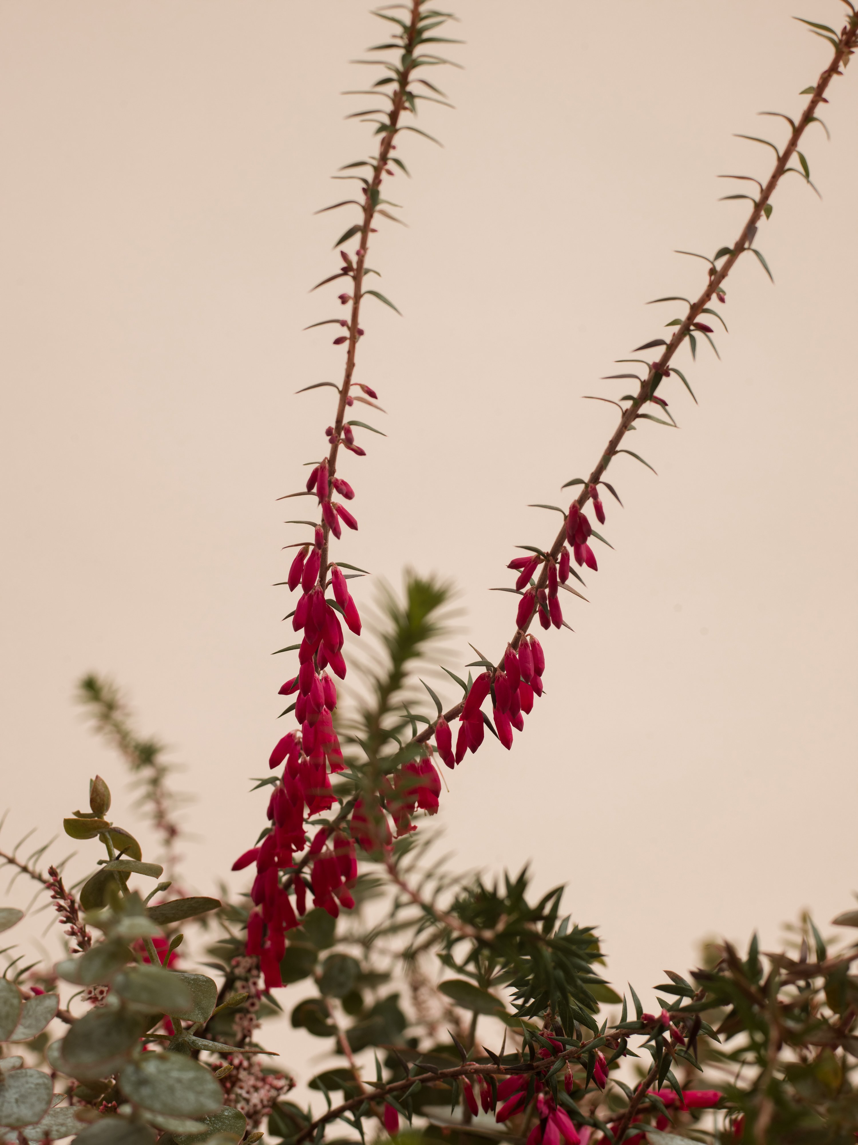 Up There X Asics GT-II Releasing May 6th 2022