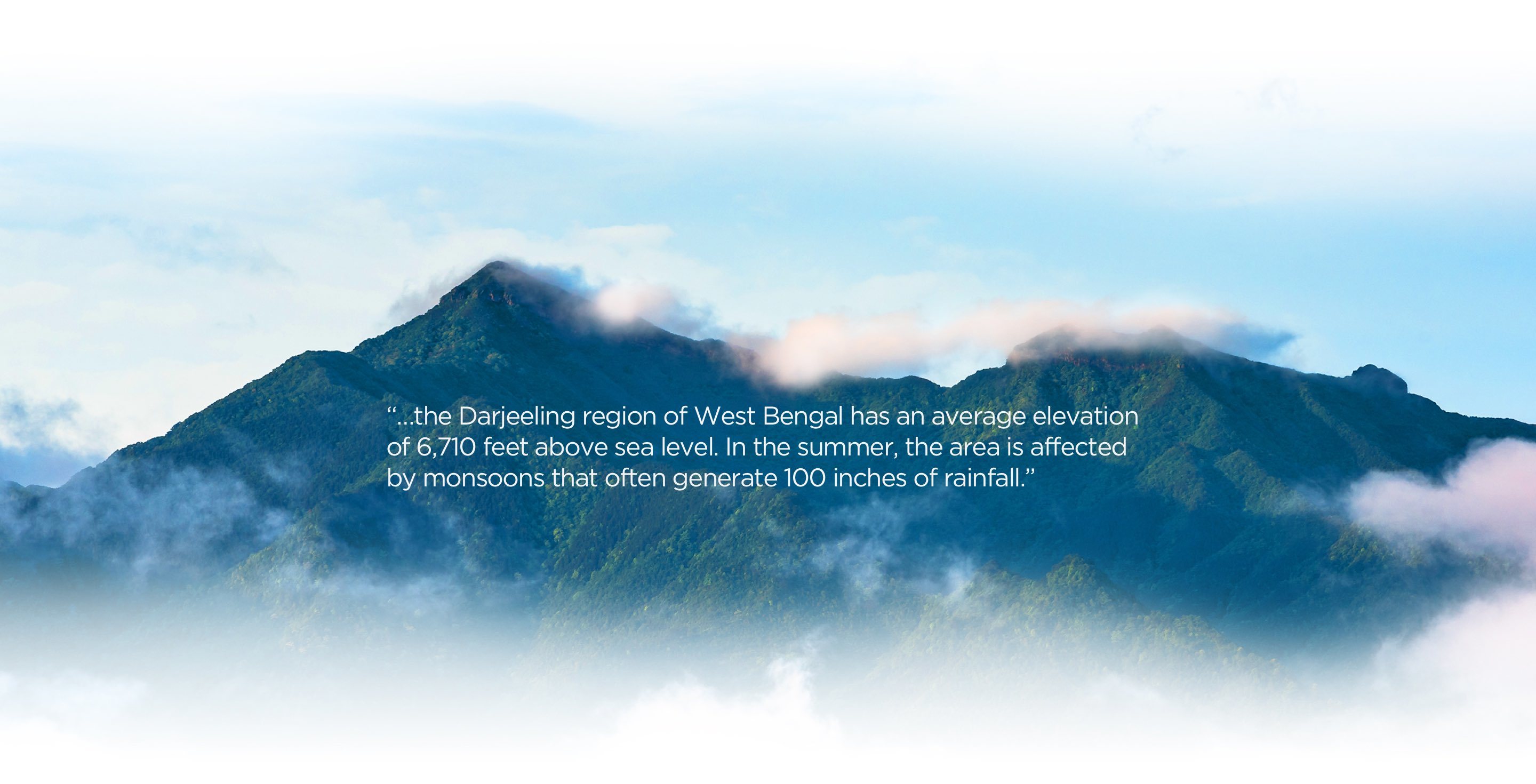 Darjeeling mountains painting with a quote on top