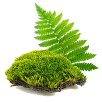 Beauty and the Boutique