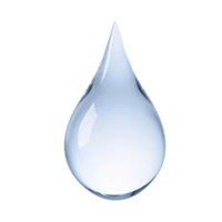 Beauty and the Boutique