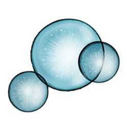 Beauty and the Boutique