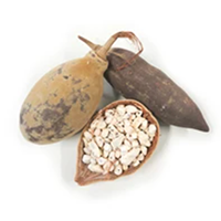 Beauty and the Boutique