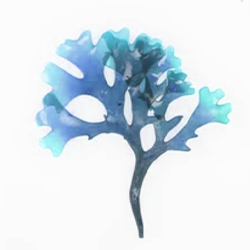 Beauty and the Boutique