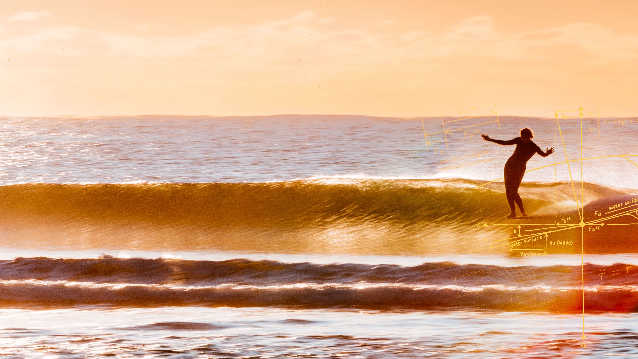 Surfboard Riding The Physics of Noseriding - Patagonia Australia