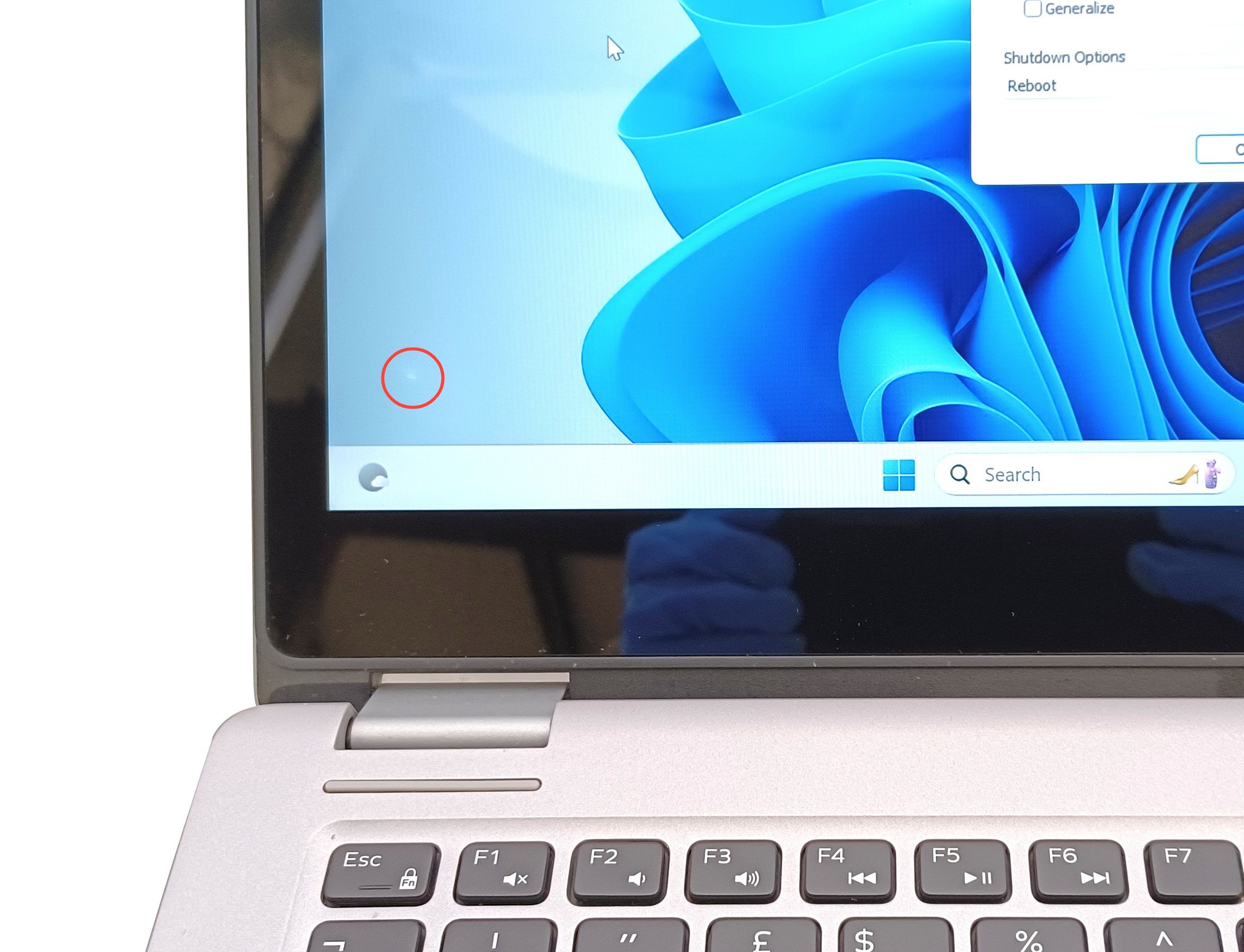 Device #1 - small white spot at bottom left of screen