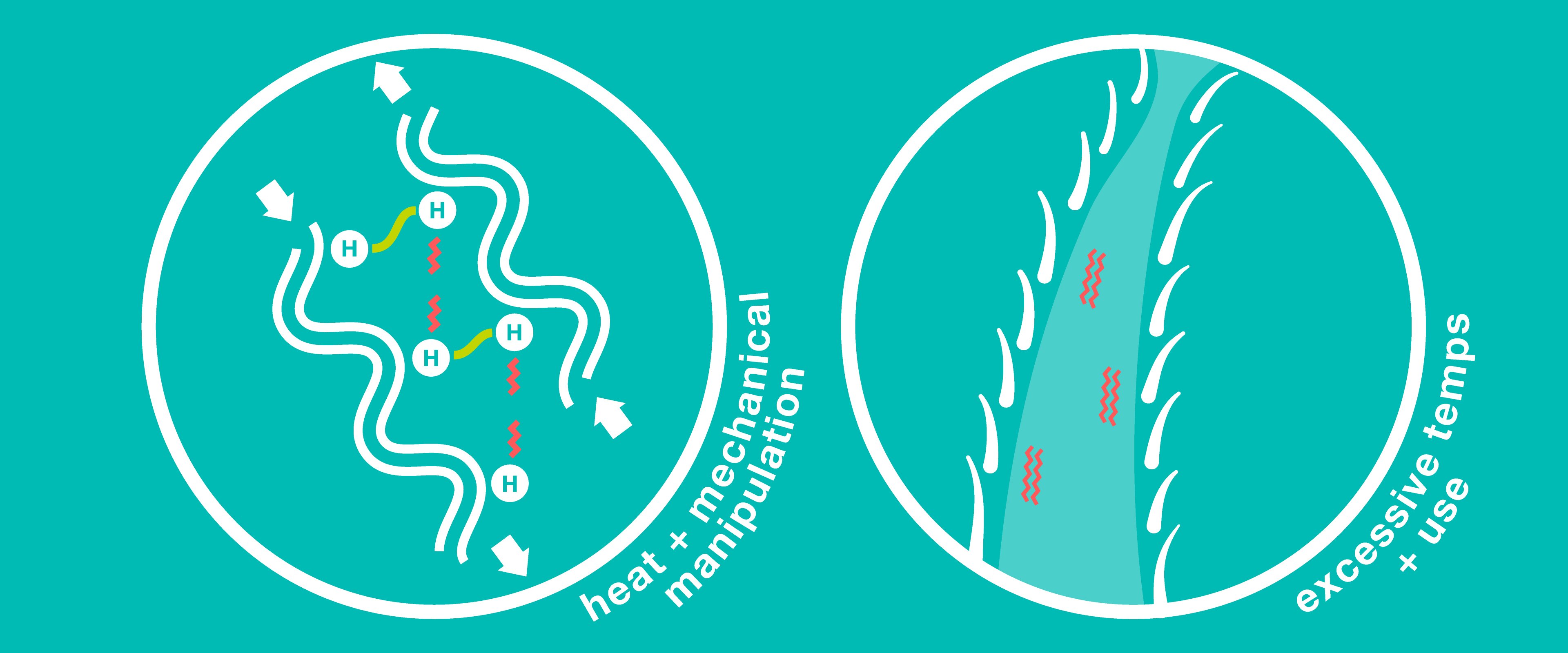 MYTH BUSTING 03: the TRUTH behind hair damage