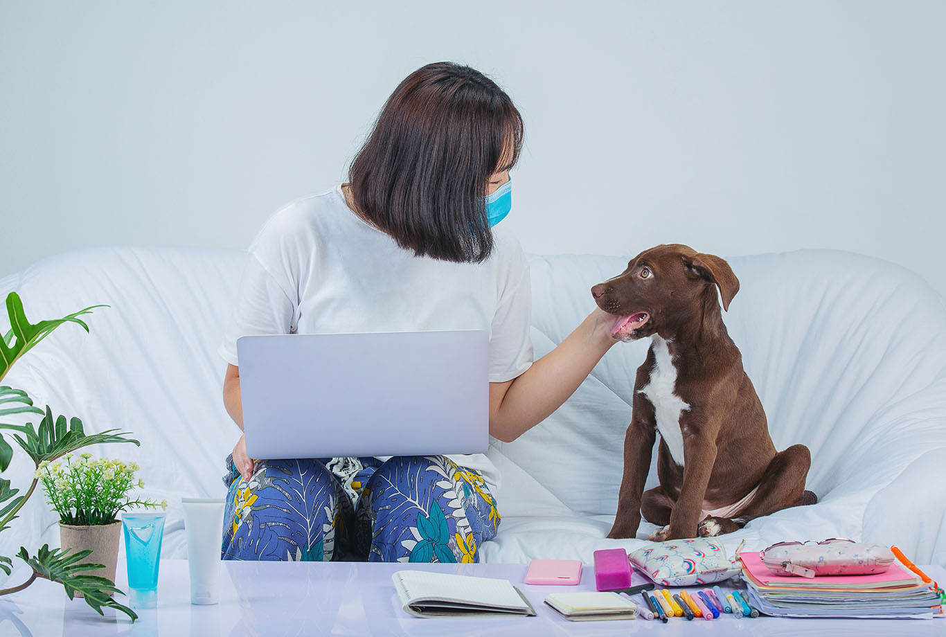 Staying Focused at Work How to Work from Home With Your Pets? Pets