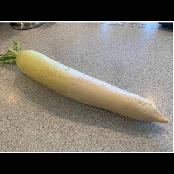 Preparing the Daikon