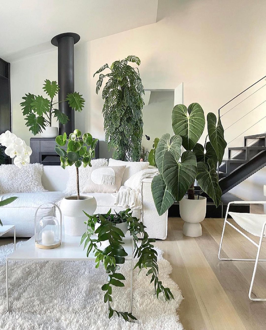 Inspirational Plant Interiors | Online Delivery | Leaf Envy