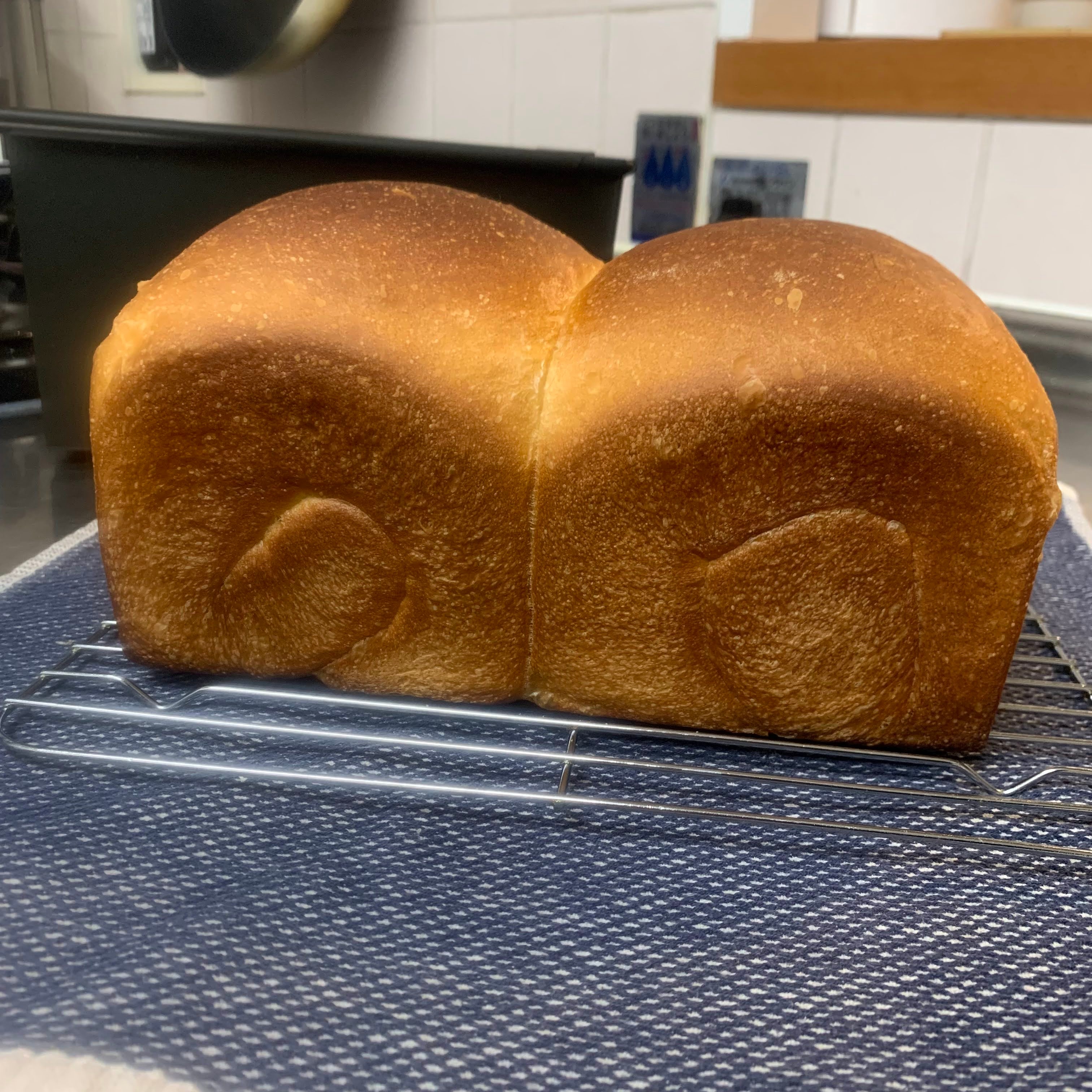 Finished bread 