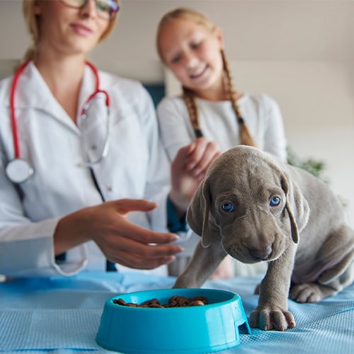 Photo by gpointstudio on Freepik.com.