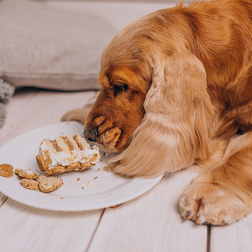 Photo by senivpetro on Freepik.com.