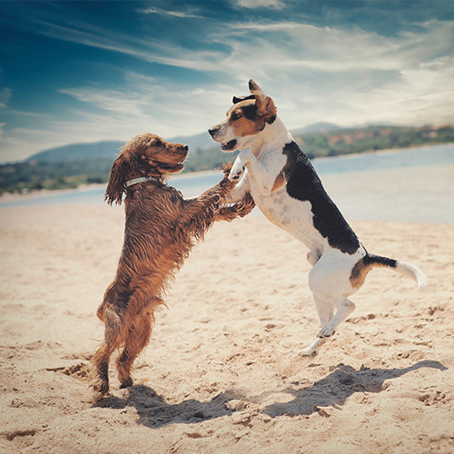 Photo by wirestock on Freepik.com.