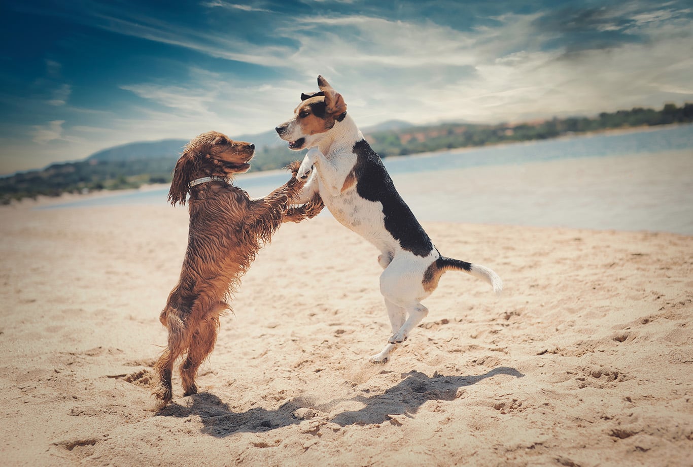 Photo by wirestock on Freepik.com.