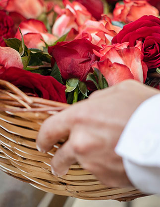 Hand hält geflochtenen Korb mit roten Rosenblütenblättern