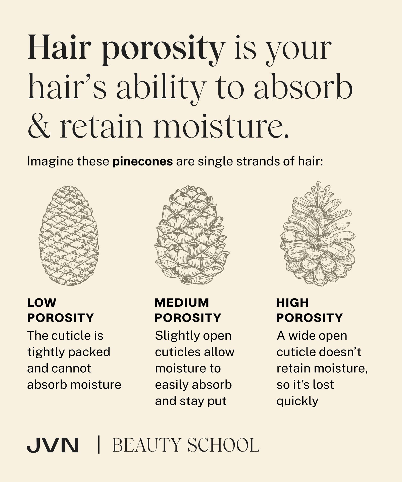 Hair porosity is your hair's ability to absorb and retain moisture. Imagine these pinecones are single strands of hair; low porosity hair has the cuticle tightly packs and cannot absorb moisture; high porosity hair has a wide open cuticle which doesn't retain moisture so it's quickly lost