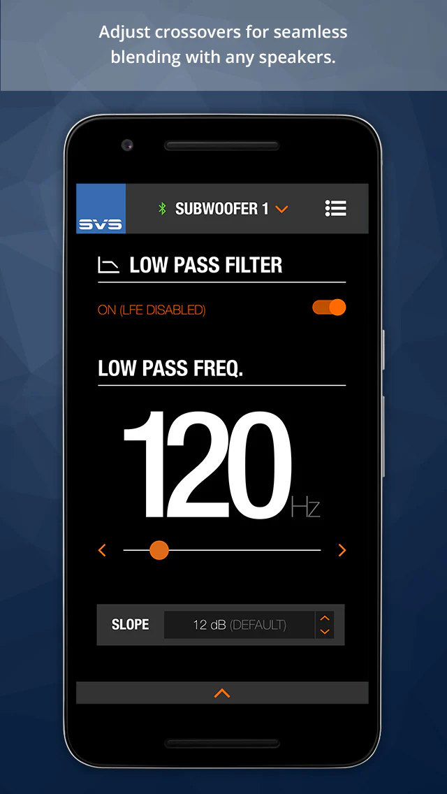 SVS app setup screenshot