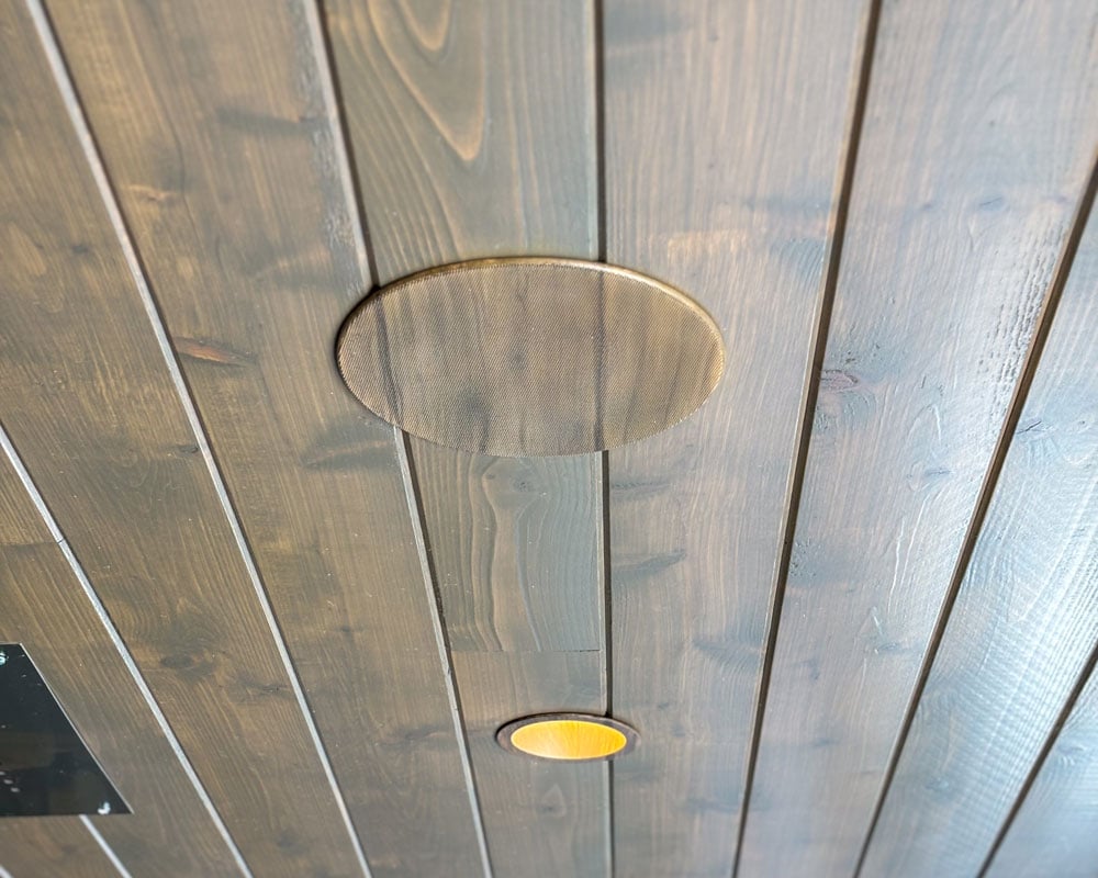 Patio in-ceiling speaker
