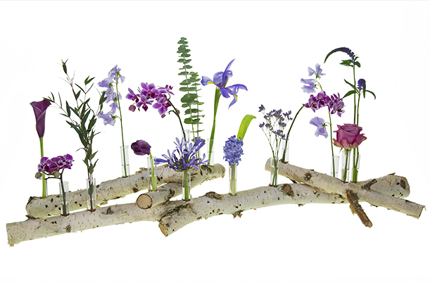 A finished contemporary design of birch branches, water tube and flowers