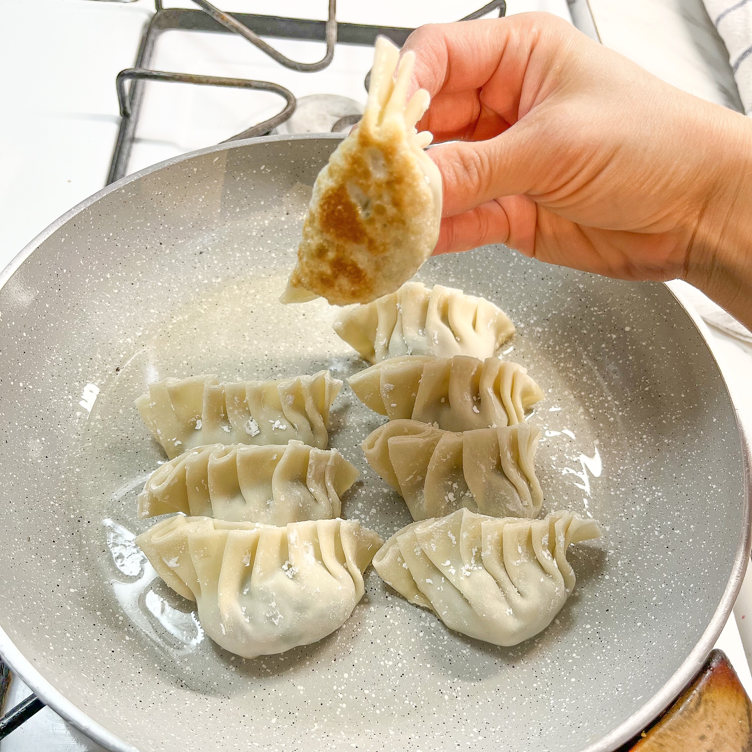 Shimomura Gyoza Shaping Mold Set (Japanese Dumplings Maker Kit) – Japanese  Taste