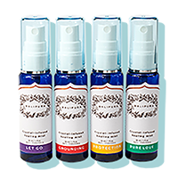 Beauty and the Boutique