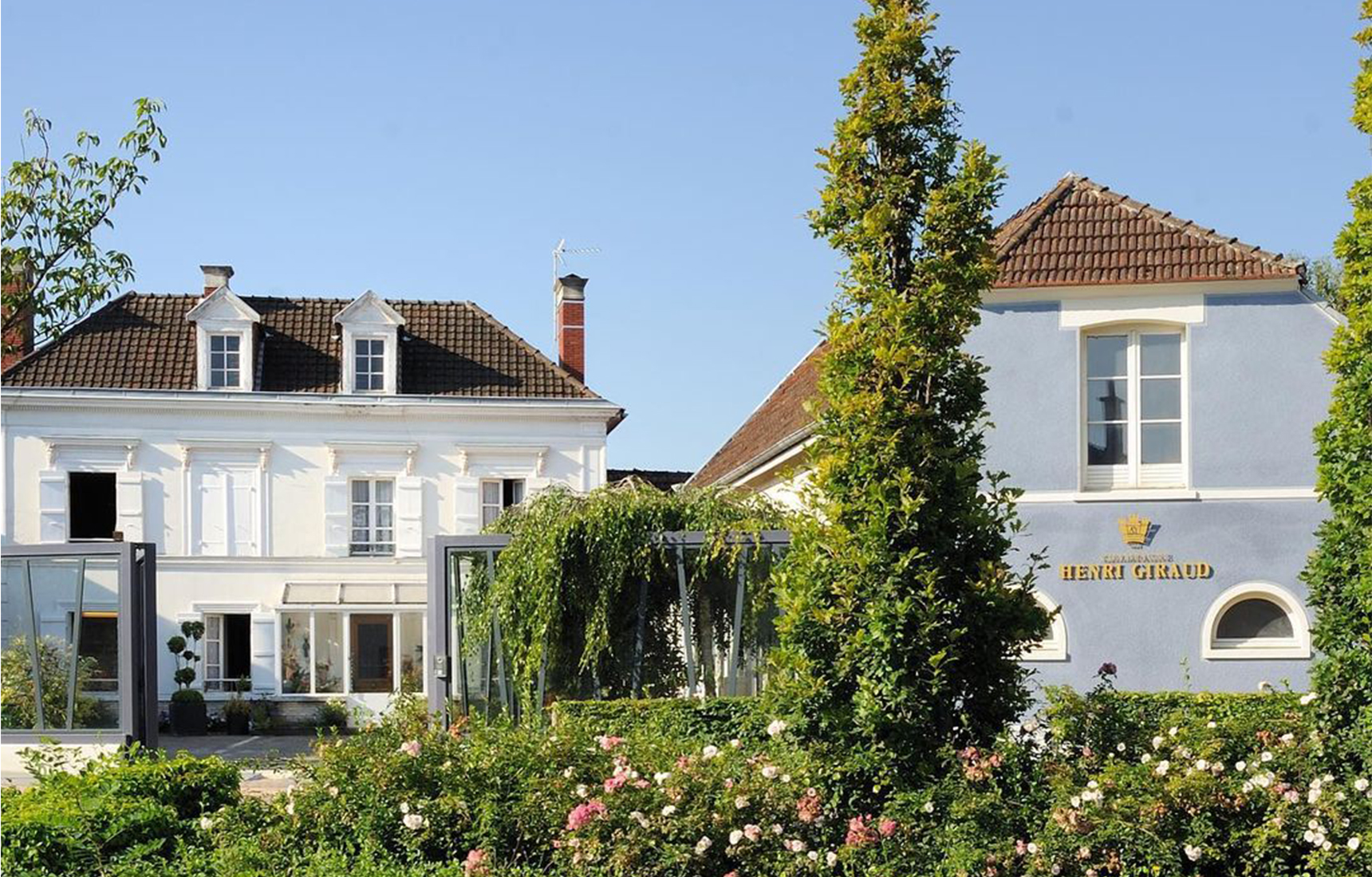 Champagne Henri Giraud – PIVENE