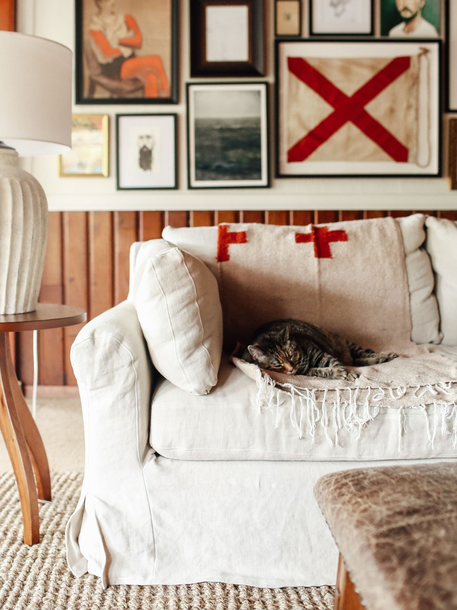 cat sleeping on the Elias Sofa
