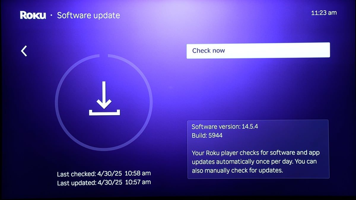 Screen grab of the Software Update screen on a Roku device.