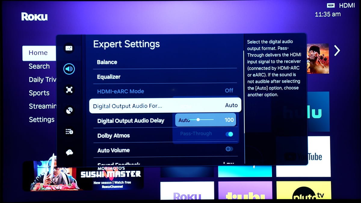 Screen grab of the Audio Settings screen on a Roku device.