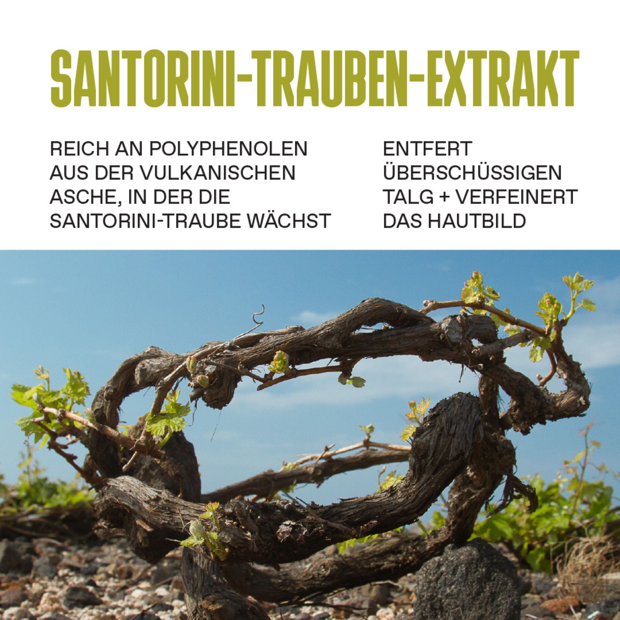 Santorini Grape Porenverfeinernder Toner Thumbnail 5