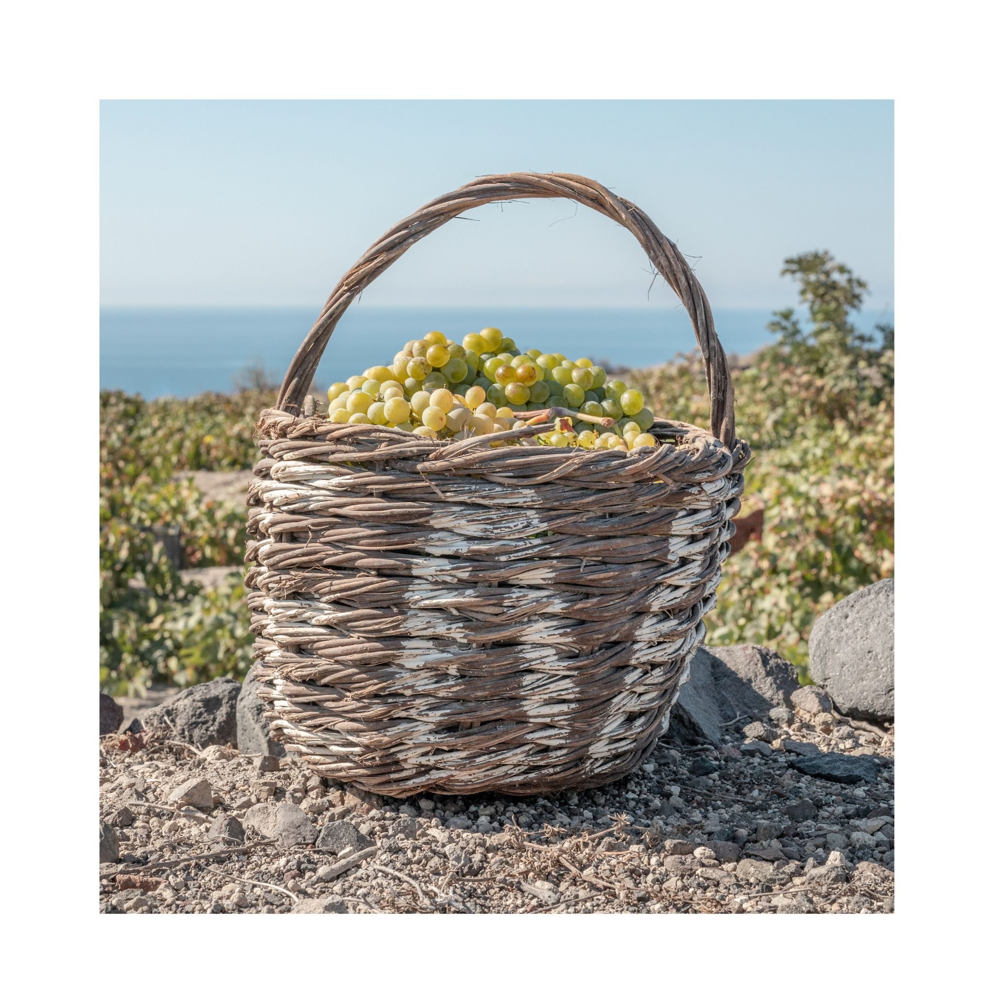 Santorini Grape Porenverfeinernder Toner Thumbnail 3