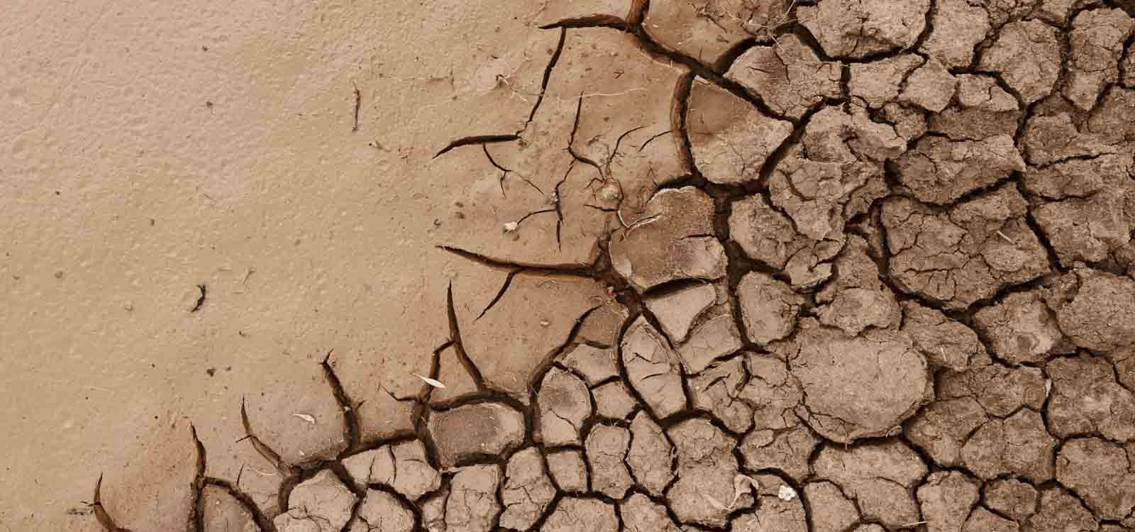 What Causes Dry Skin On Face & Body And How To Treat It