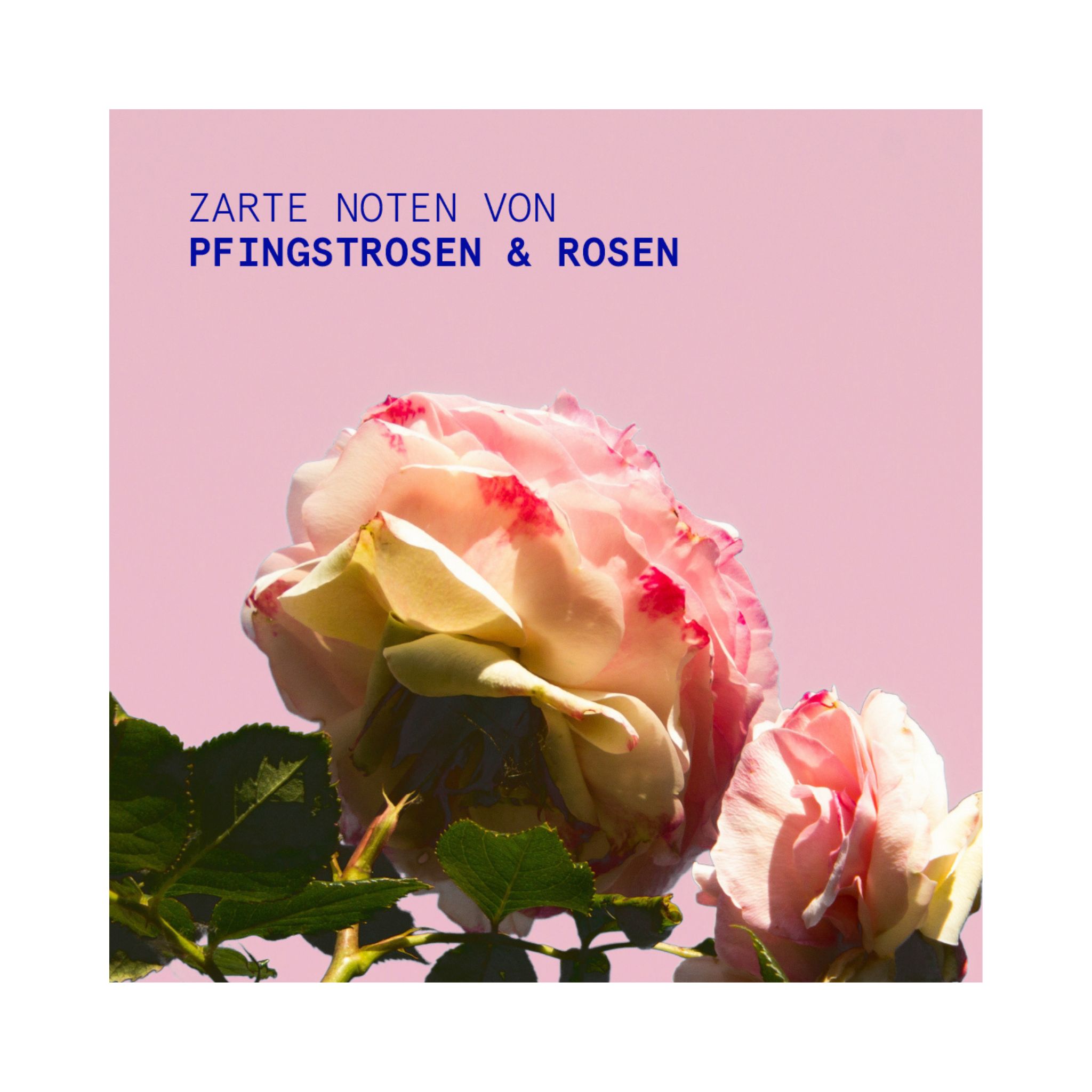 PEONY ROSE Handcreme Thumbnail 3
