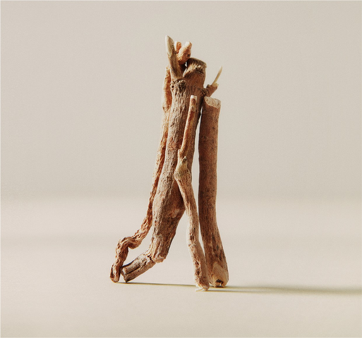 Ashwagandha Cycling 101: All You Need to Know | Moon Juice