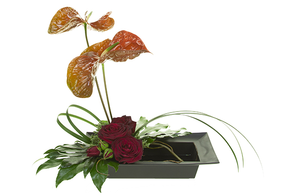 This bold and striking floral design mixes anthuriums with Black Baccara roses, fatsia leaves, lily grass, boxwood, and curly willow.