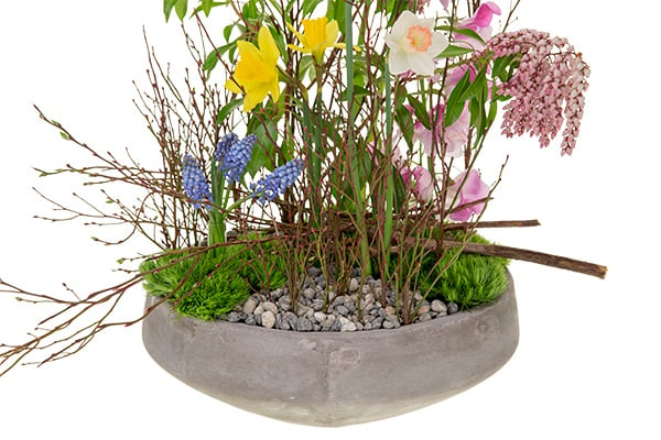 A spectacular floral design in the vegetative style mixes spring flowers like muscari, daffodils, and sweet peas with green trick dianthus, andromeda, and budding huckleberry branches