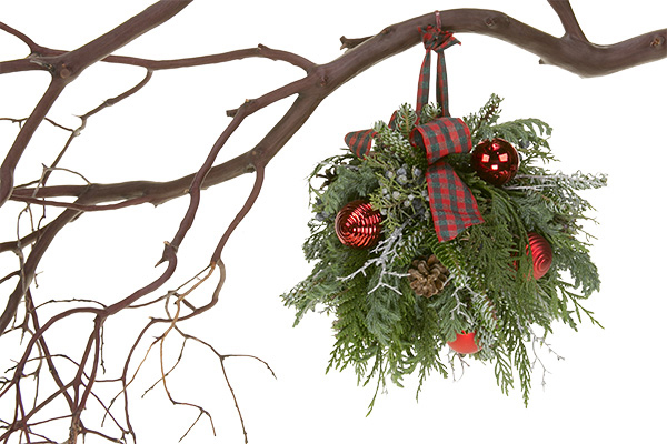 This Christmas Kissing Ball is filled with evergreens, pine cones, colorful ornaments, and festive ribbon for a beautiful effect.