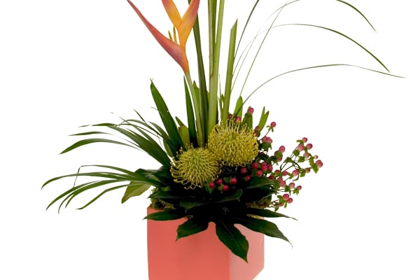 A bold and beautiful tropical floral design mixes parakeet heliconia, pin cushion protea, fatsia leaves, palm fronds, lily grass, sphagnum moss, and hypericum berries in a vibrant orange ceramic cube.